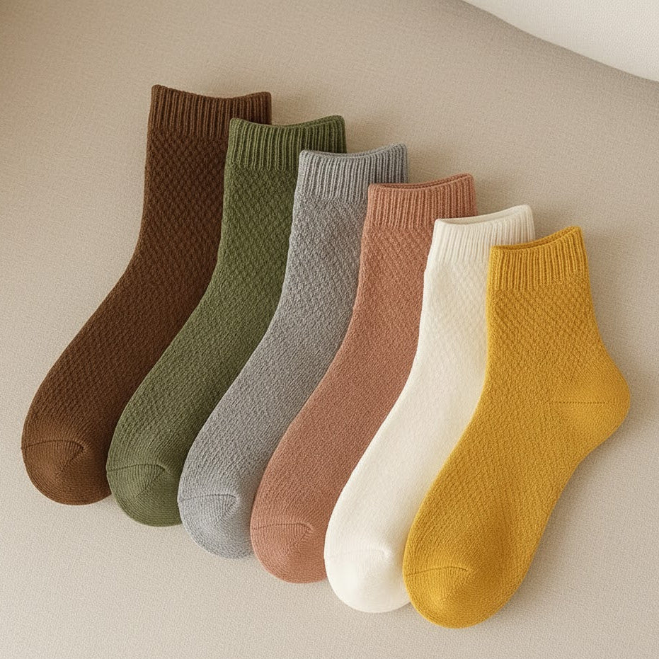 Winter spectrum - Pack of 6